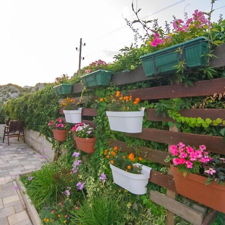 Village Holiday Apartman With Heated Pool Maslina Kostanje 외부 사진